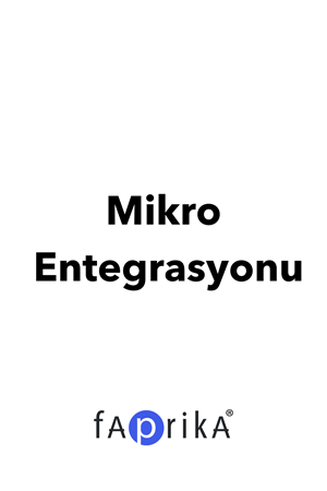 Mikro Accounting Integration