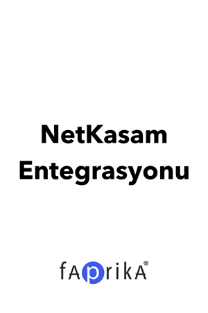 Netkasam ERP Integration