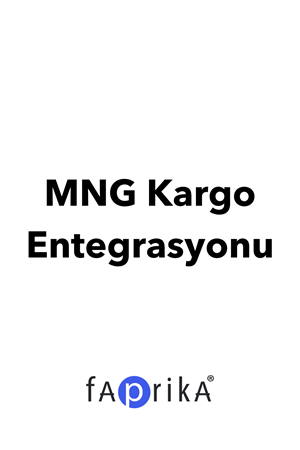 MNG Cargo Integration