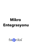 Mikro Muhasebe Entegrasyonu