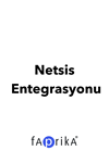 Netsis Muhasebe Entegrasyonu