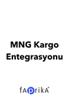 MNG Cargo Integration